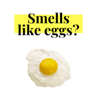 plumbing smells like eggs text and image